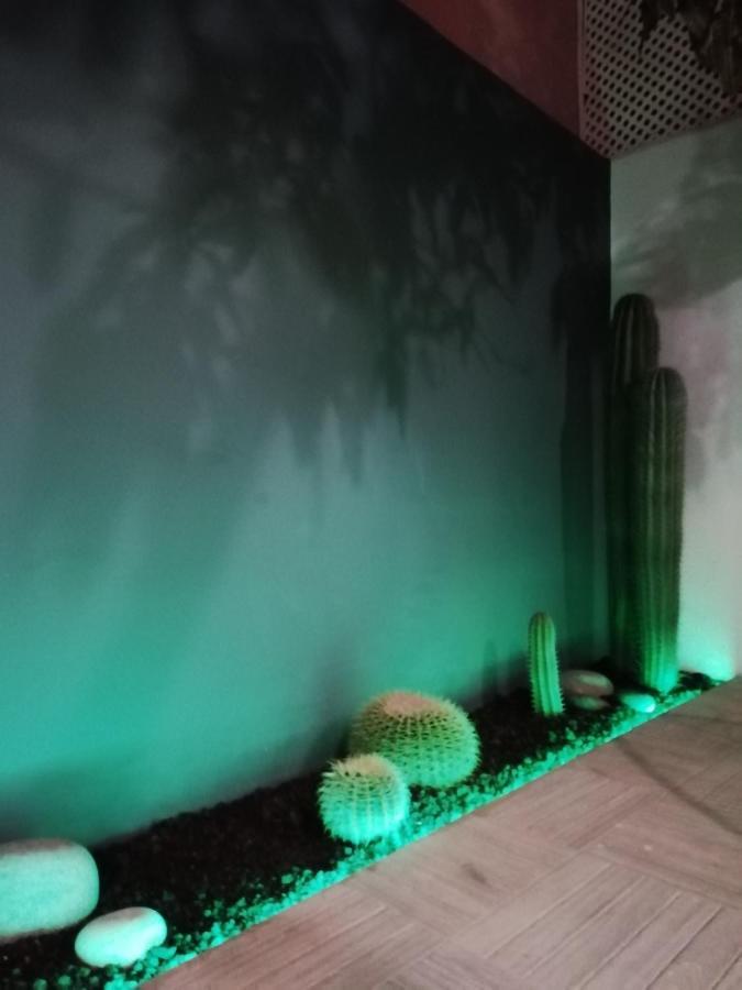 Casa Guadalupe Y Roque Villa Santa Cruz de Tenerife Kültér fotó